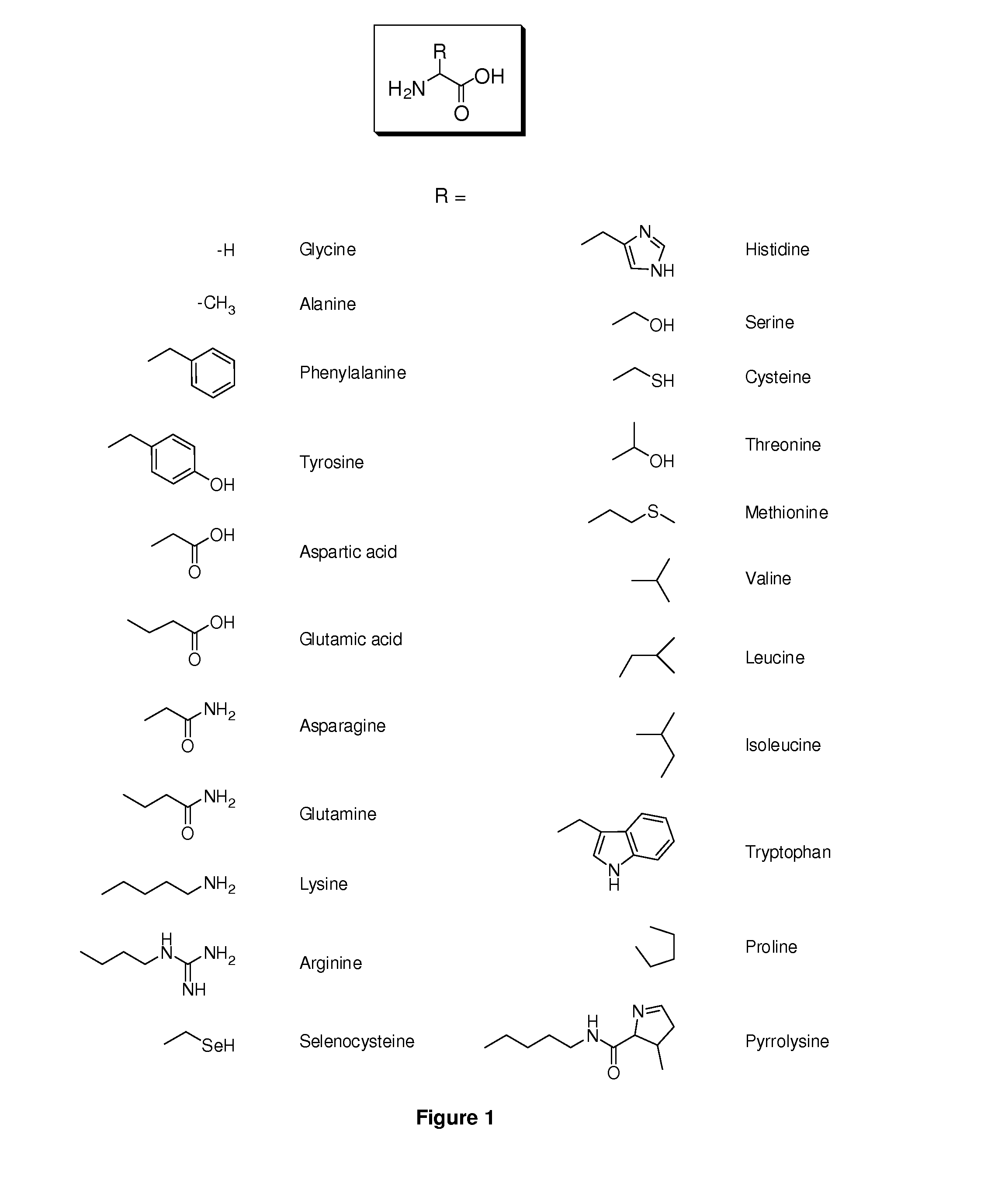 Amino Acid Conjugates of Quetiapine, Process for Making and Using the Same