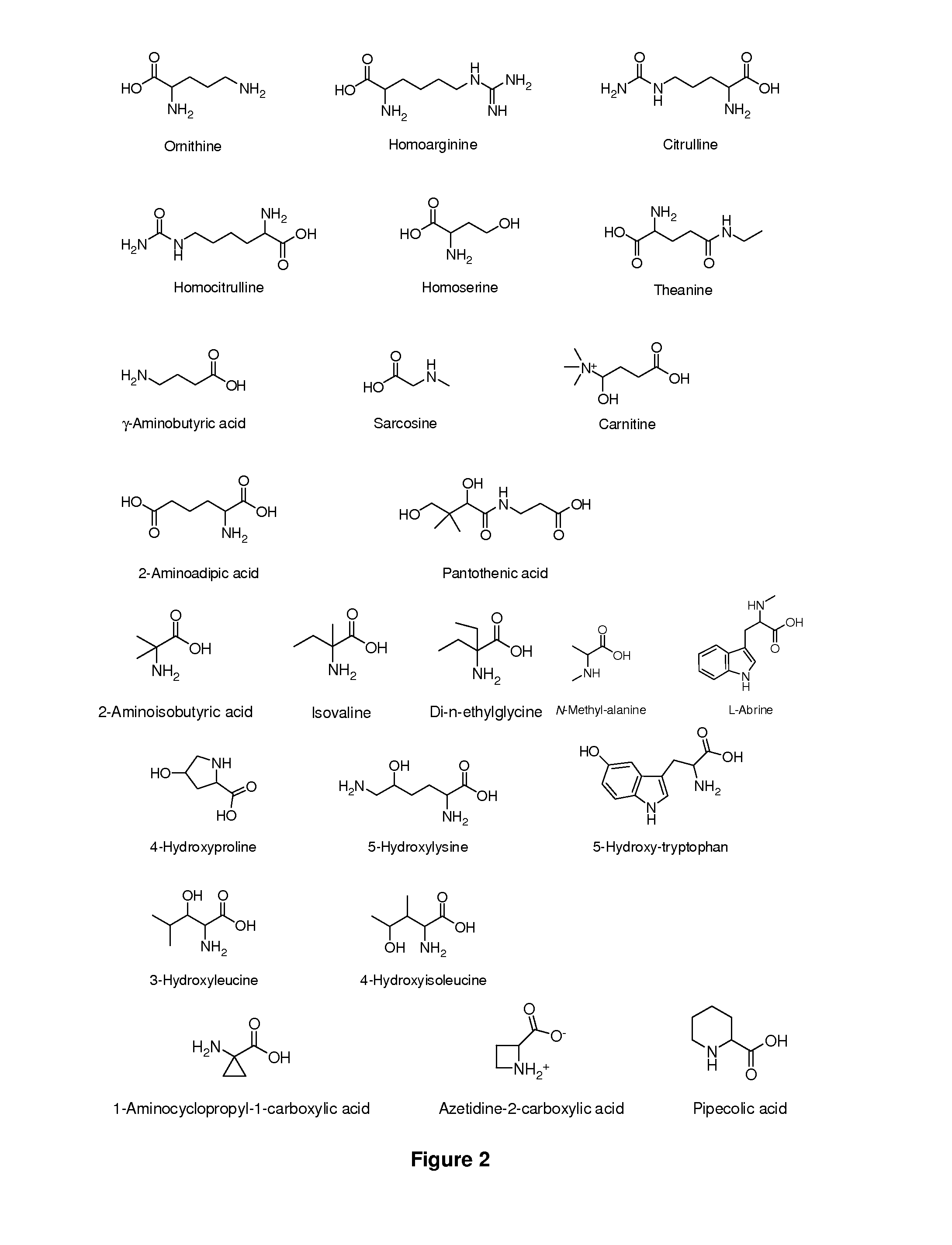 Amino Acid Conjugates of Quetiapine, Process for Making and Using the Same