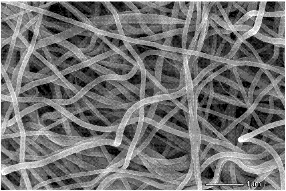 Magnetic Fe3O4 nano-fiber material as well as preparation method thereof and application thereof in catalytic reaction of mimetic peroxidase