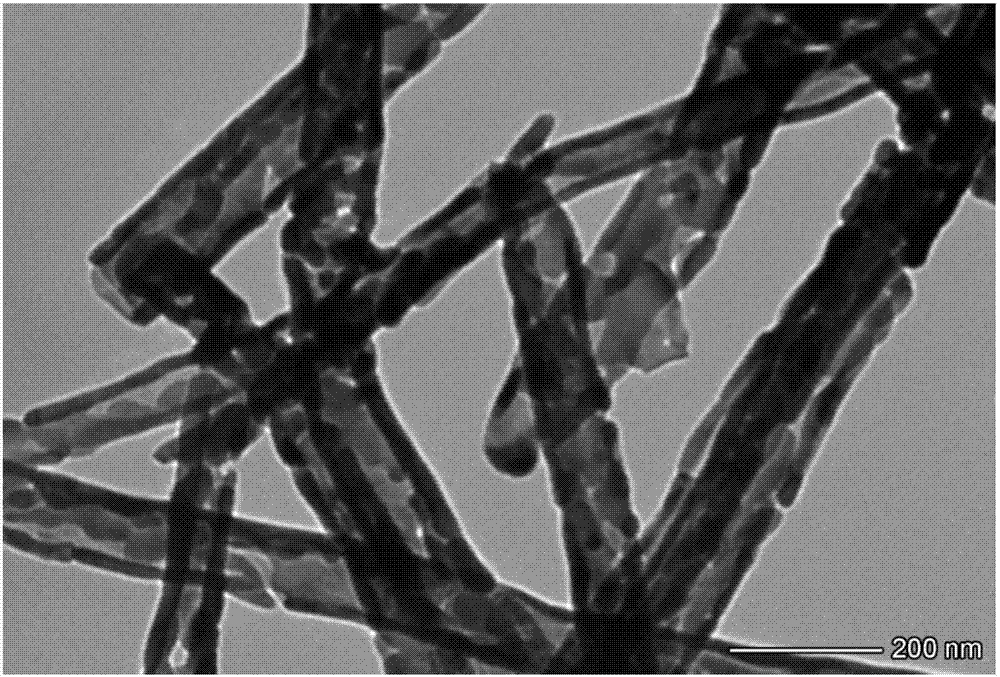 Magnetic Fe3O4 nano-fiber material as well as preparation method thereof and application thereof in catalytic reaction of mimetic peroxidase