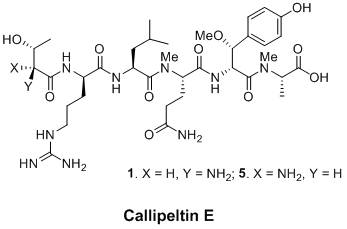 Preparation method of (S)-2-((9H-fluoren-9-methoxycarbonyl)methylamino)-5-amino-5-oxovaleric acid