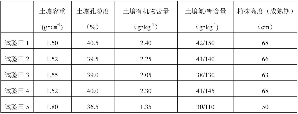 Bagasse-based water retaining agent and preparation method thereof