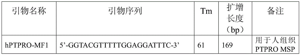 Primers, kit and system for cancer diagnosis