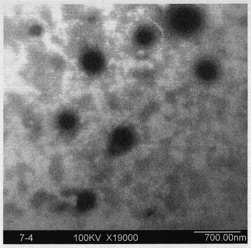 Photocrosslinking nano hydrogel and preparation method thereof