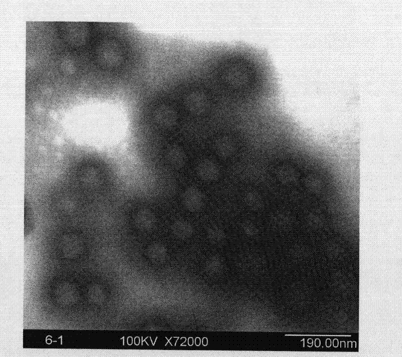 Photocrosslinking nano hydrogel and preparation method thereof