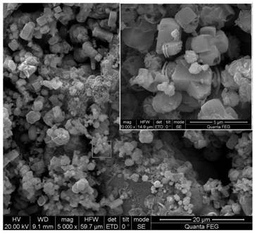 Preparation method and application of high-efficiency titanium-based ferrous molybdate electrode