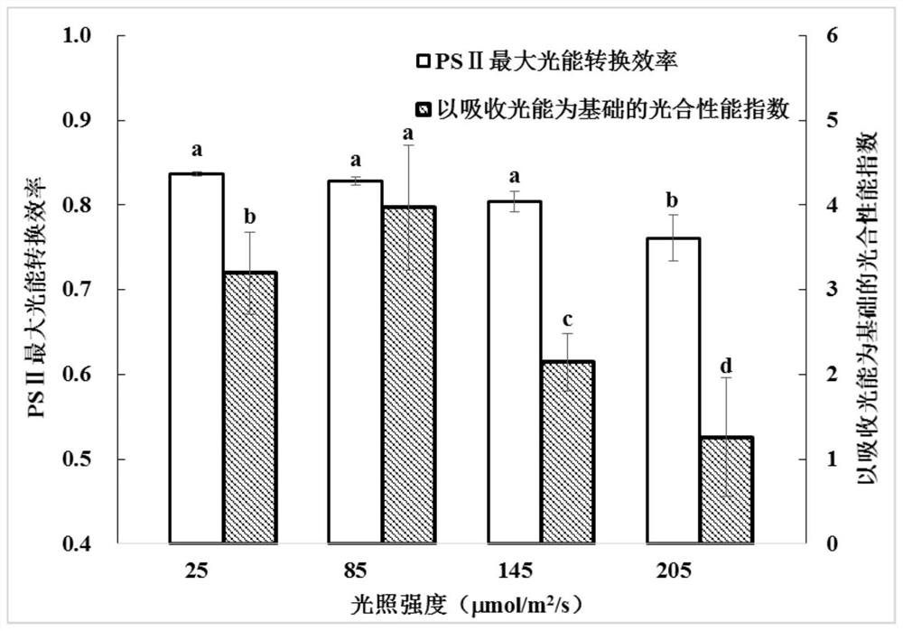 A kind of strawberry hydroponic cutting seedling raising method under artificial light environment