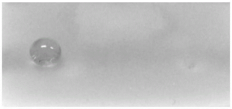 Super-oleophobic coating and preparation method thereof