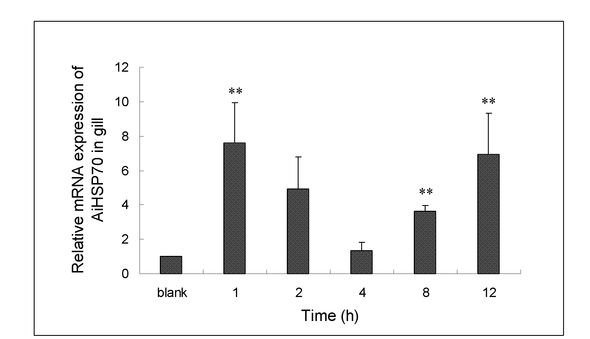 Bay scallop heat shock protein 70 gene promoter and application thereof