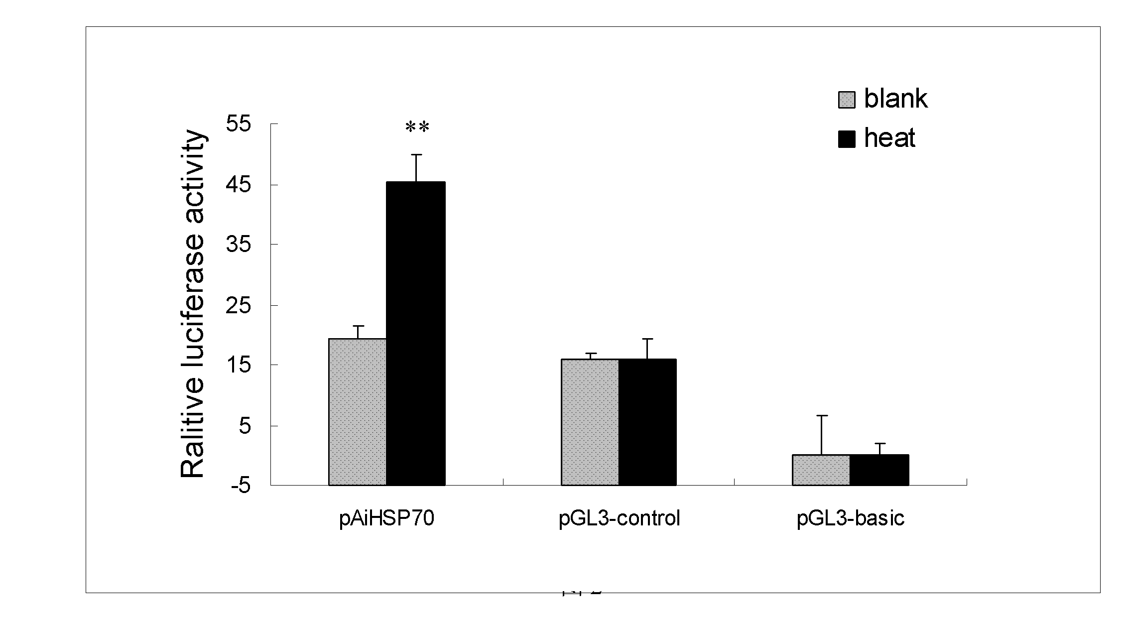 Bay scallop heat shock protein 70 gene promoter and application thereof