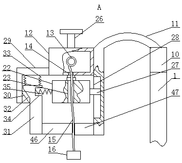 Spine fixing device