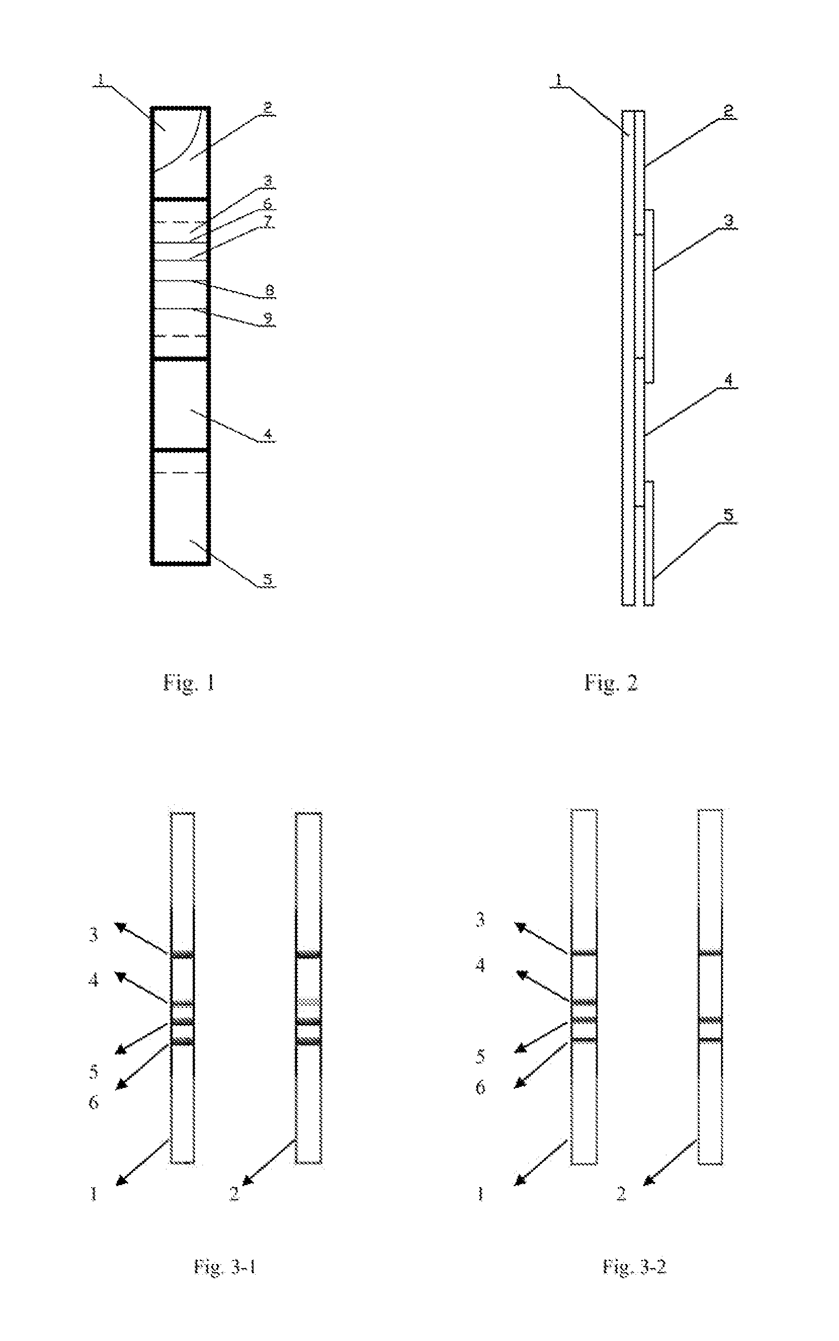 Digital immunochromatographic test strip for semi-quantitative detection of aflatoxin B1 and preparation method thereof