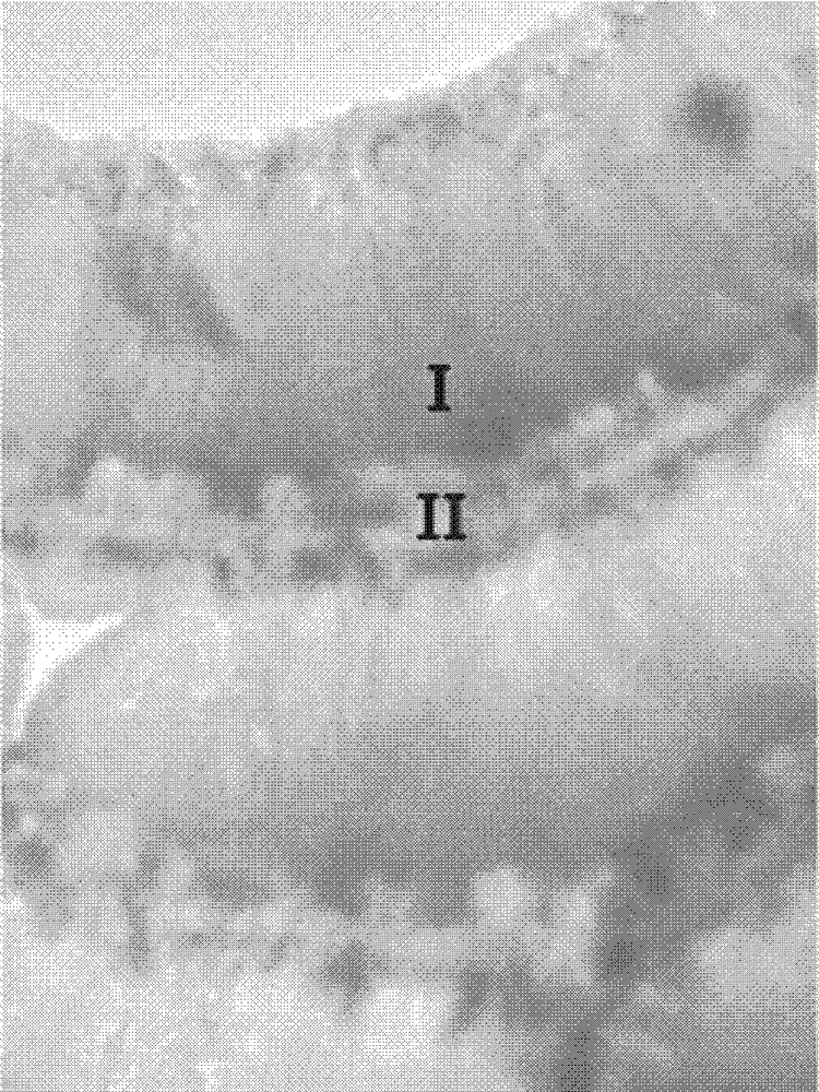 Gas sensing material of cuprous oxide and stannic oxide micro-nano heterogeneous medium array structure and preparing method thereof