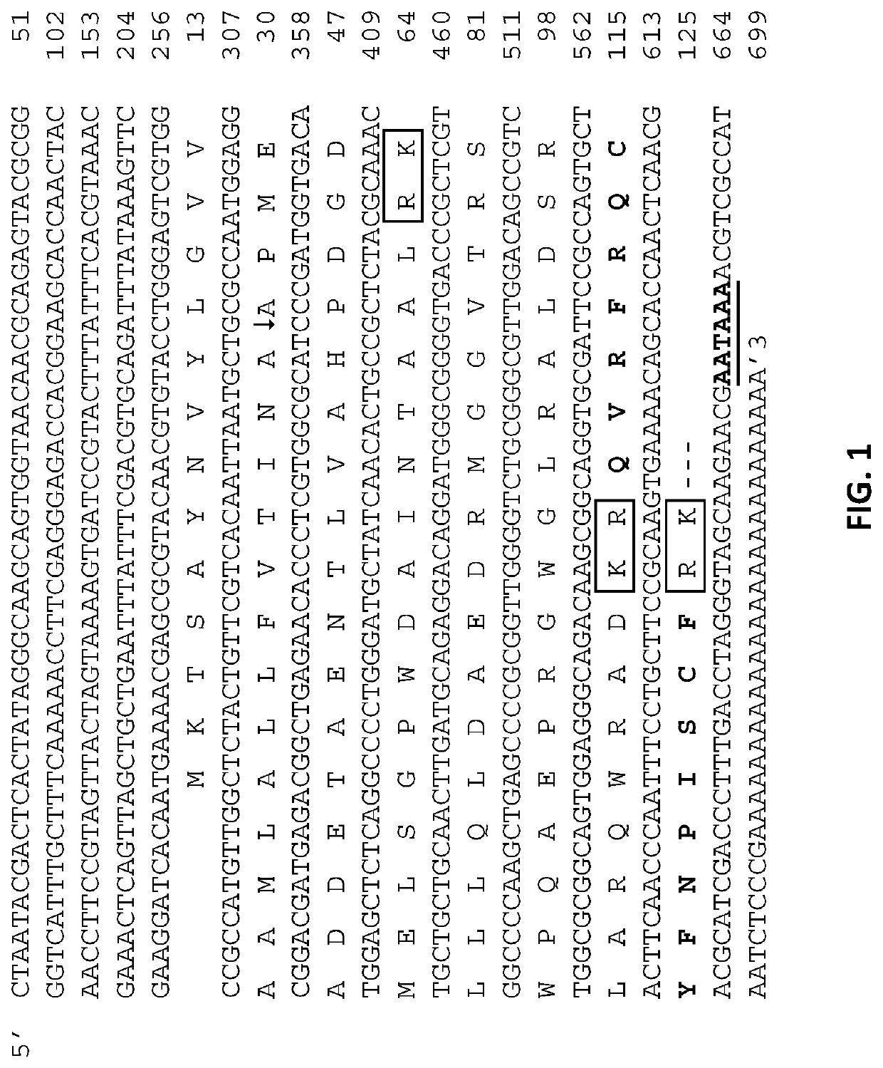 Insect control strategies utilitizing pheromones and rnai