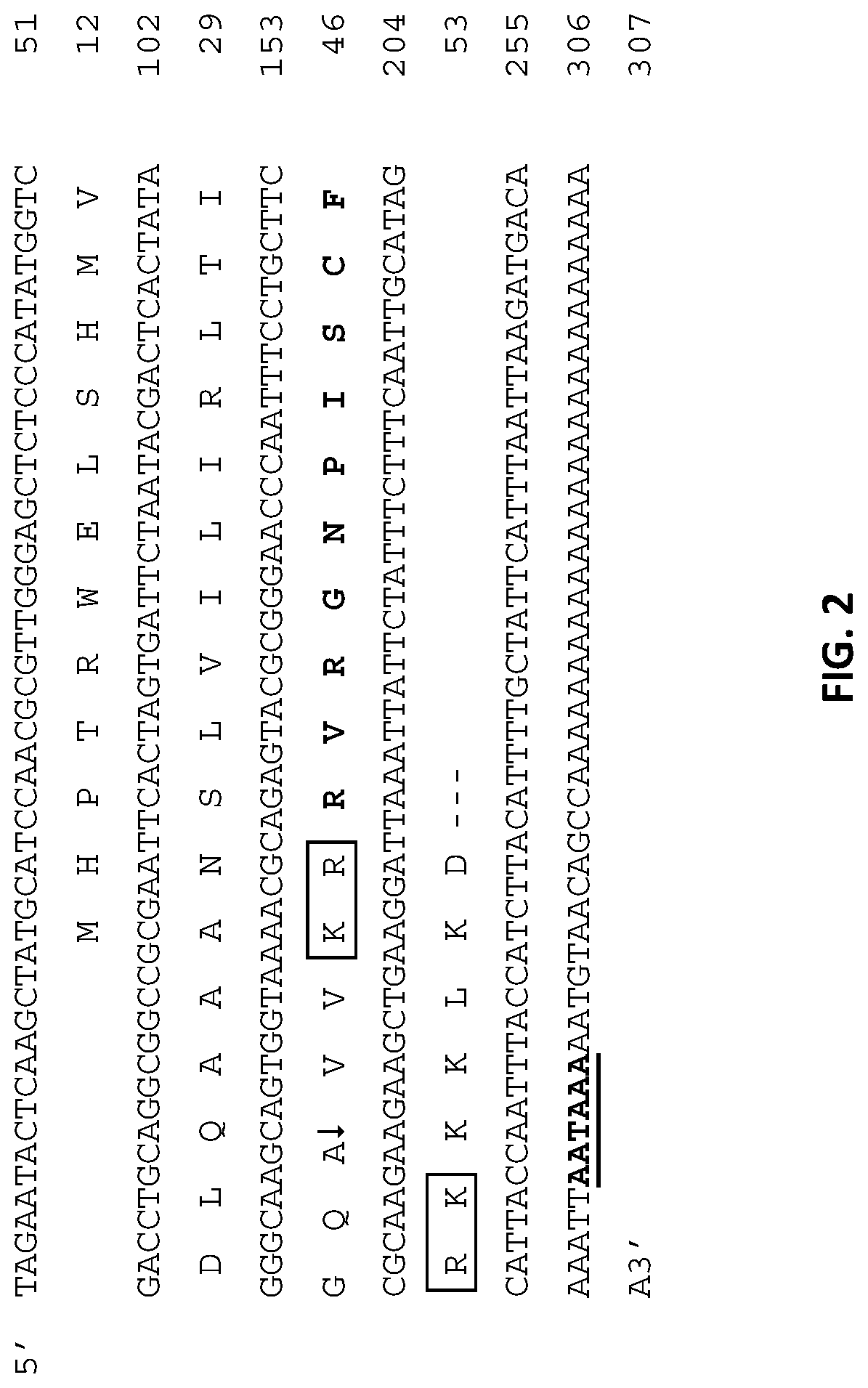 Insect control strategies utilitizing pheromones and rnai