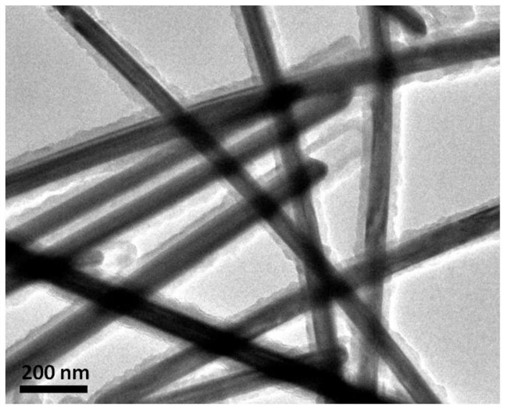 Transparent conductive film and preparation method and application thereof