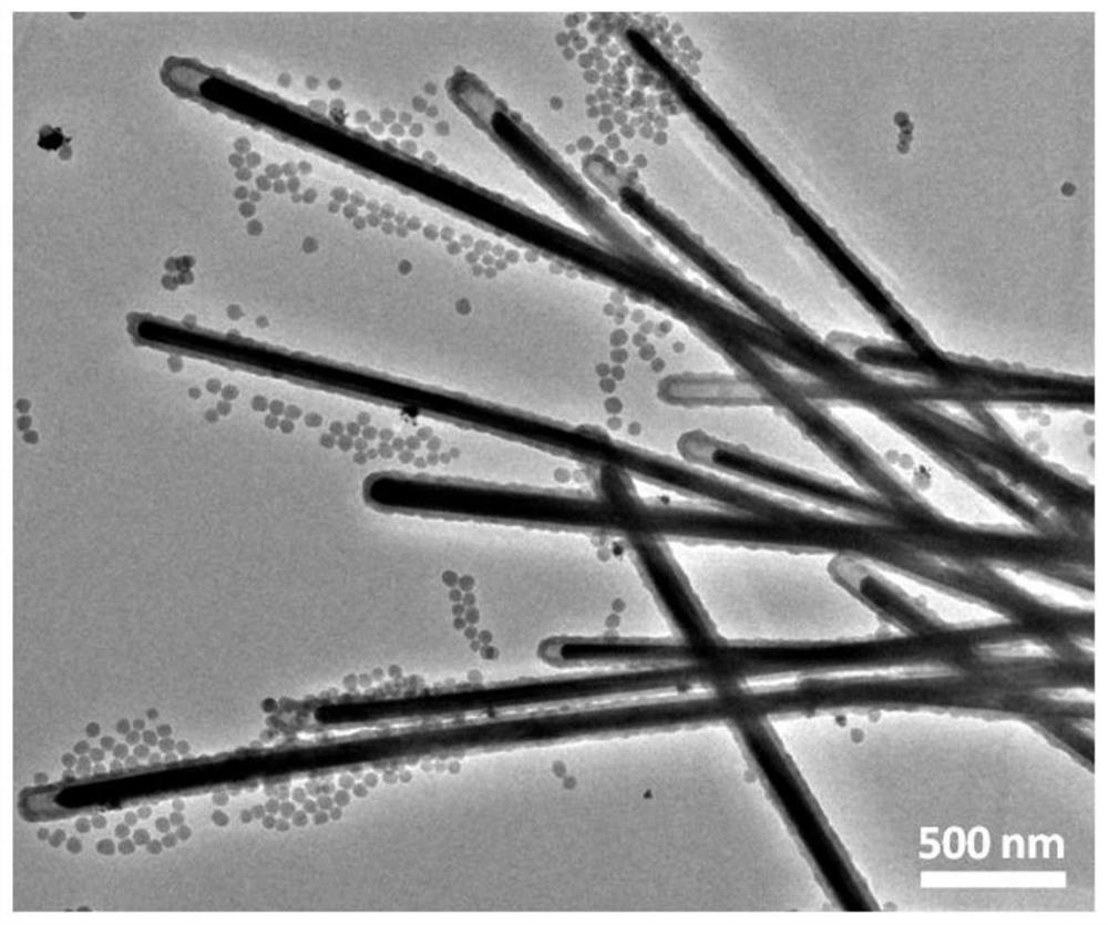 Transparent conductive film and preparation method and application thereof