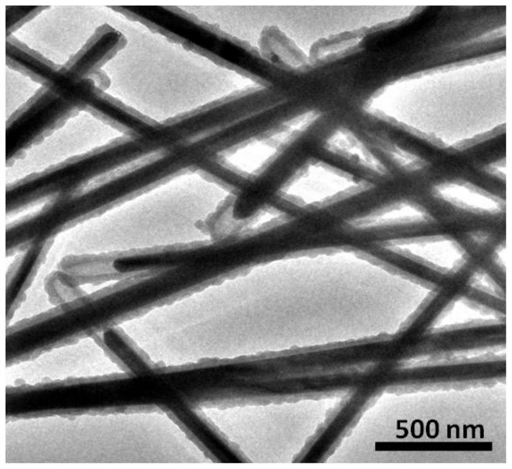 Transparent conductive film and preparation method and application thereof