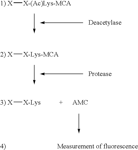 Kit for determining the acetylation level of a peptide based on sensitivity of the peptide to peptidase