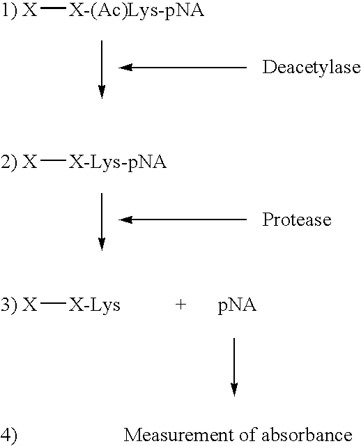 Kit for determining the acetylation level of a peptide based on sensitivity of the peptide to peptidase