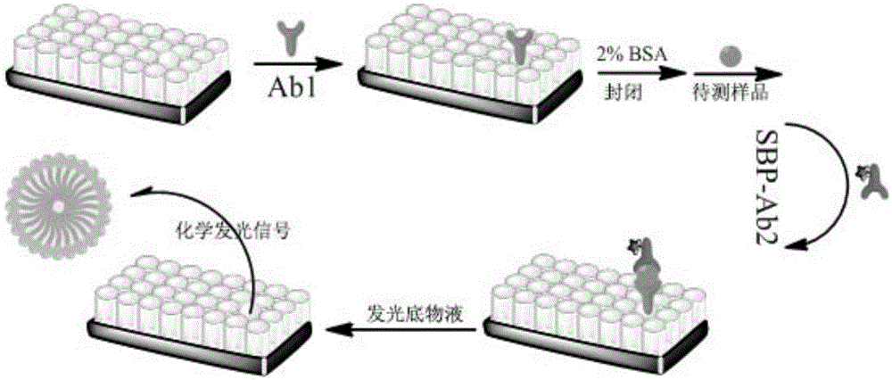 A kind of enzyme-labeled immunoassay kit and its application in serum detection