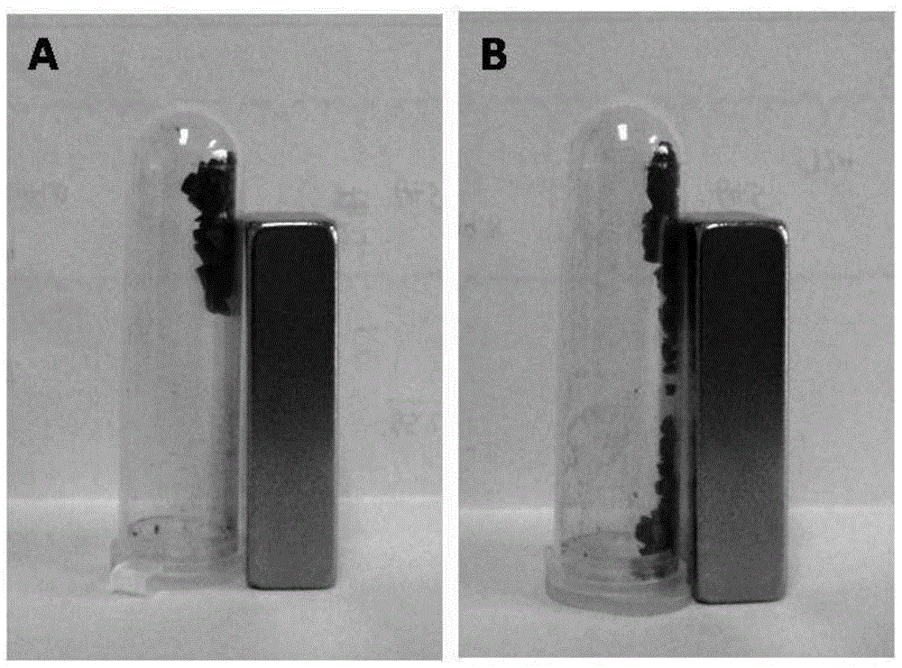 A kind of preparation method of straight channel magnetic material