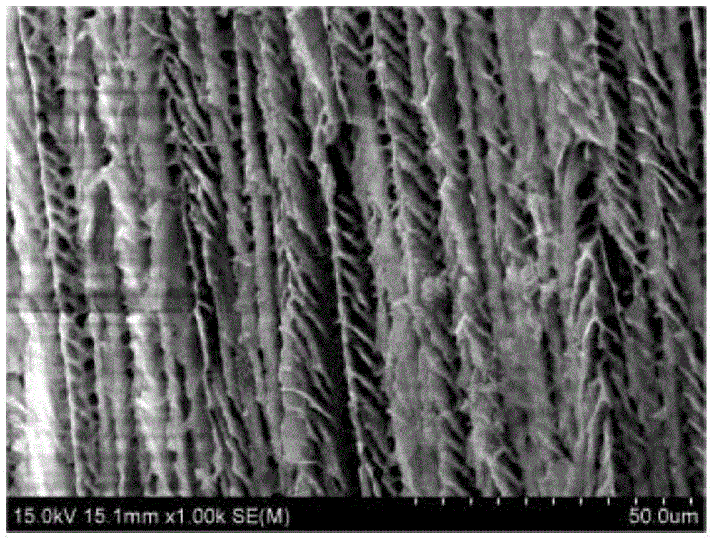 A kind of preparation method of straight channel magnetic material