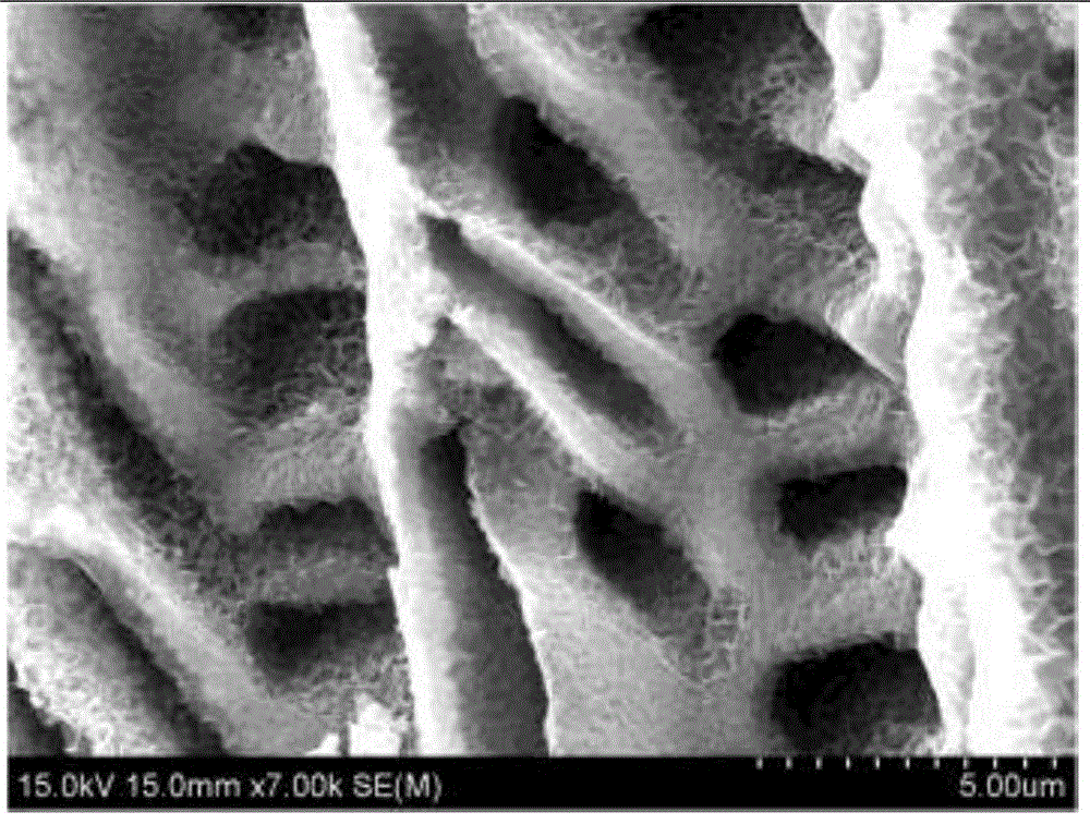 A kind of preparation method of straight channel magnetic material