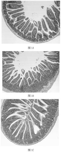 A kind of compound plant extract containing pomegranate peel and its preparation method and application