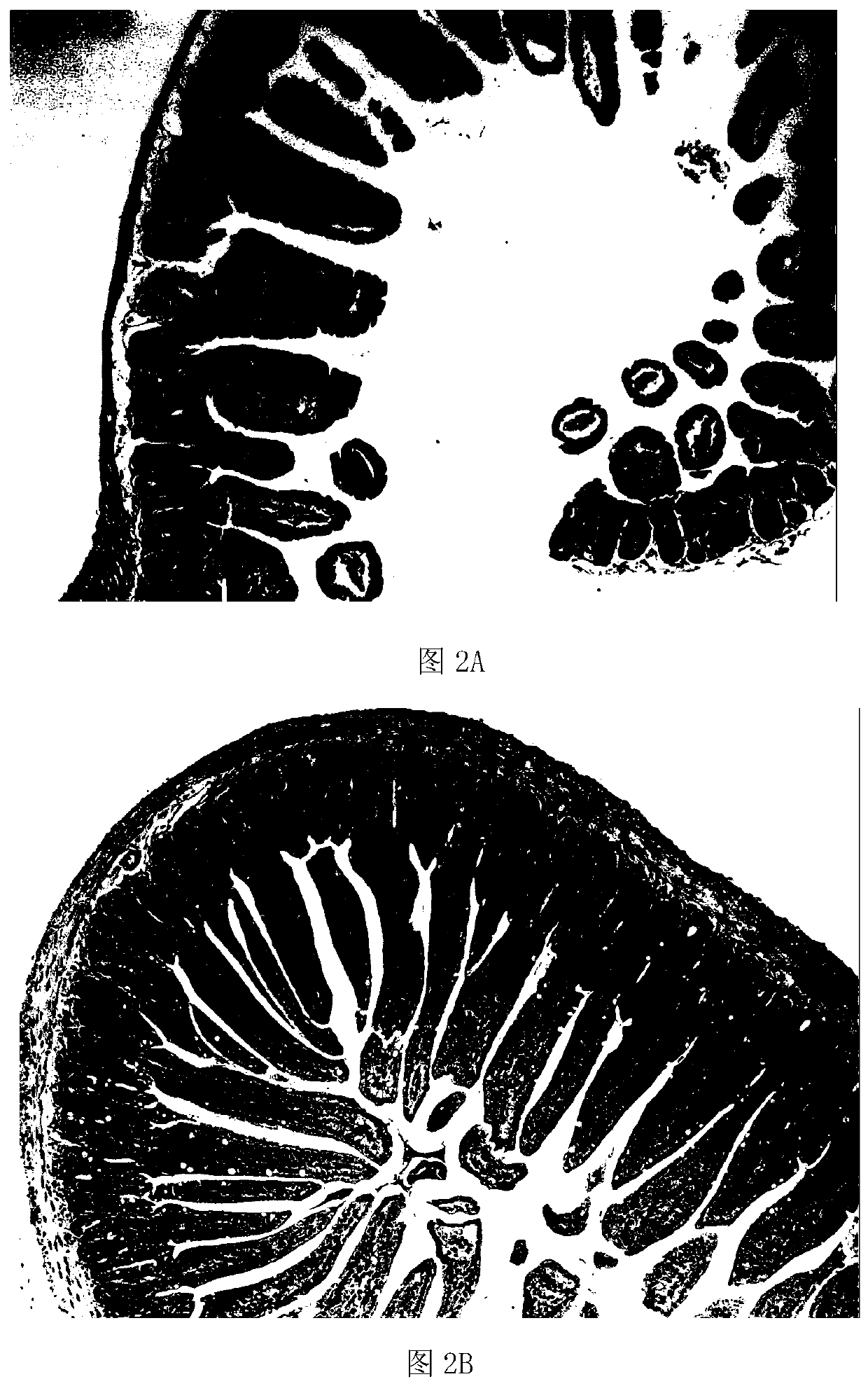 A kind of compound plant extract containing pomegranate peel and its preparation method and application