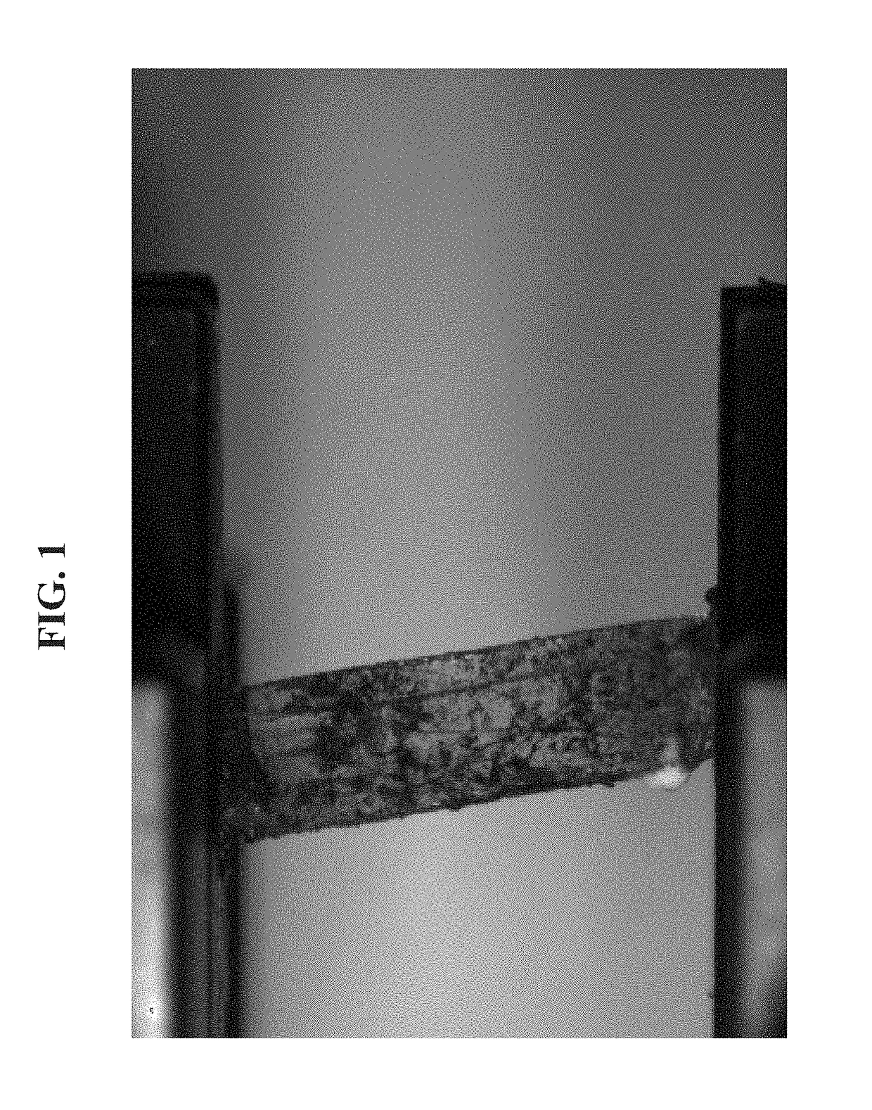 Composites comprising collagen extracted from <i>sarcophyton sp</i>. coral