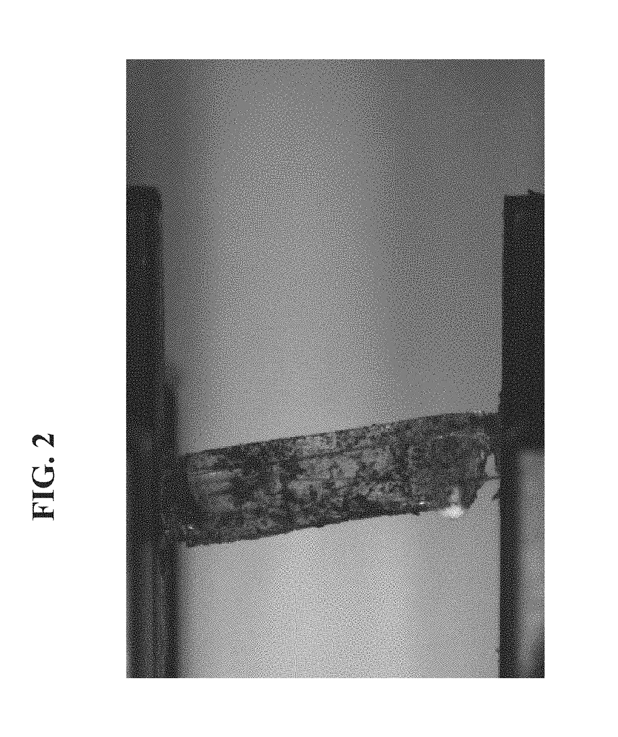 Composites comprising collagen extracted from <i>sarcophyton sp</i>. coral