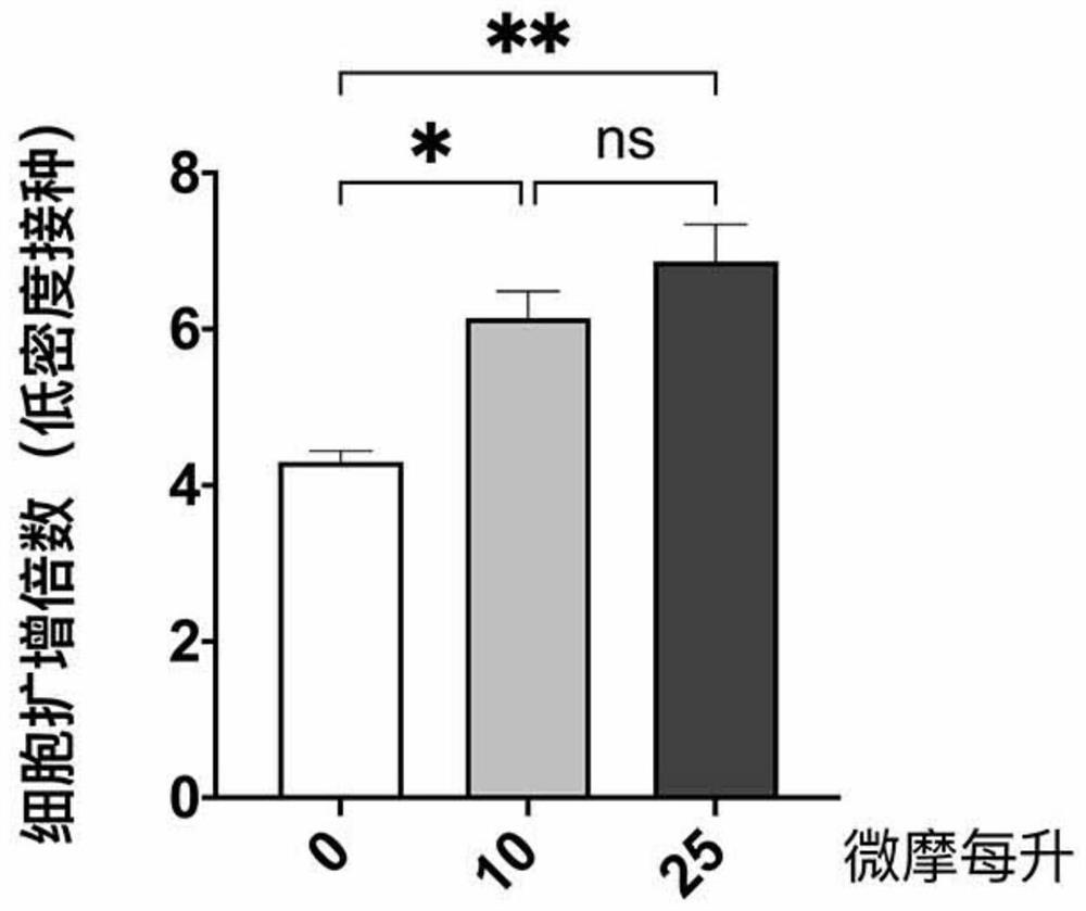 Culture medium for in-vitro large-scale culture of meat seed cells and genetic manipulation method