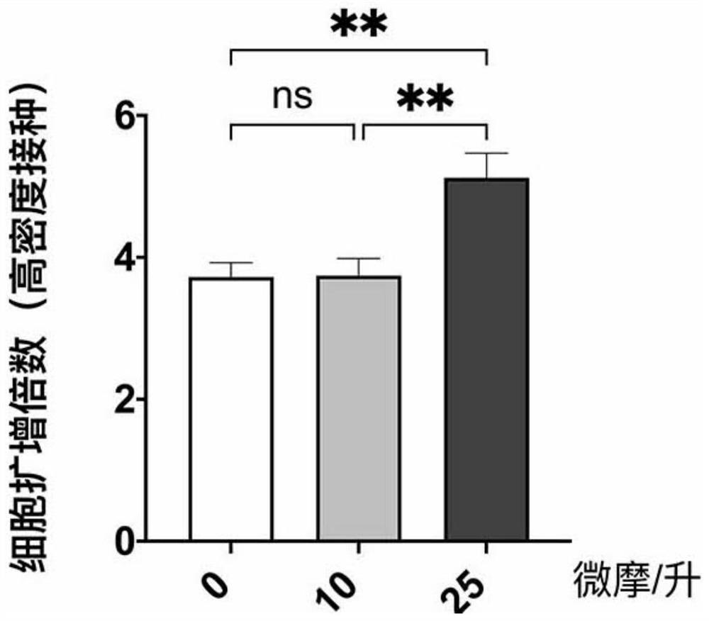 Culture medium for in-vitro large-scale culture of meat seed cells and genetic manipulation method