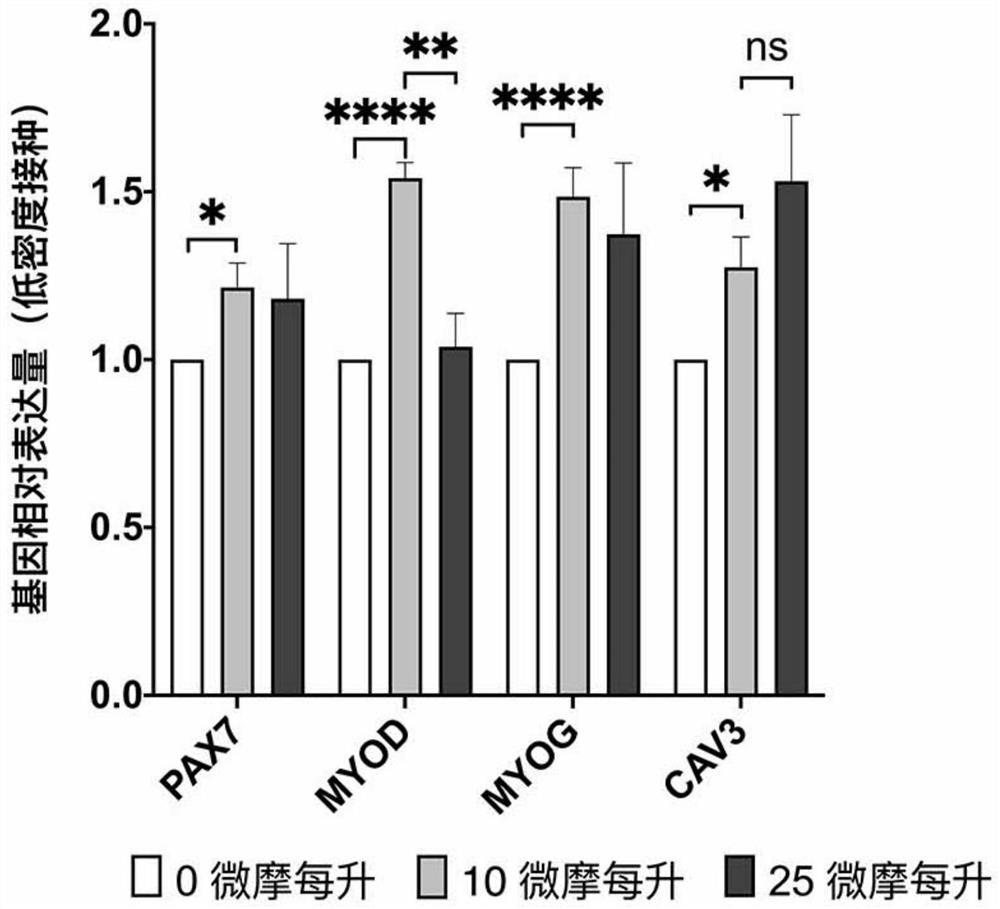 Culture medium for in-vitro large-scale culture of meat seed cells and genetic manipulation method