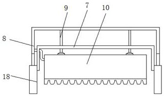 Tomato seed obtaining device for agricultural research