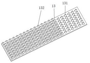 Tomato seed obtaining device for agricultural research