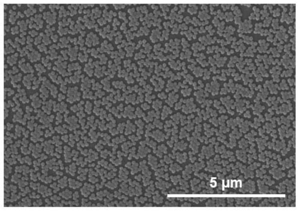 A composite nanofiltration membrane with environmental responsiveness and preparation method thereof