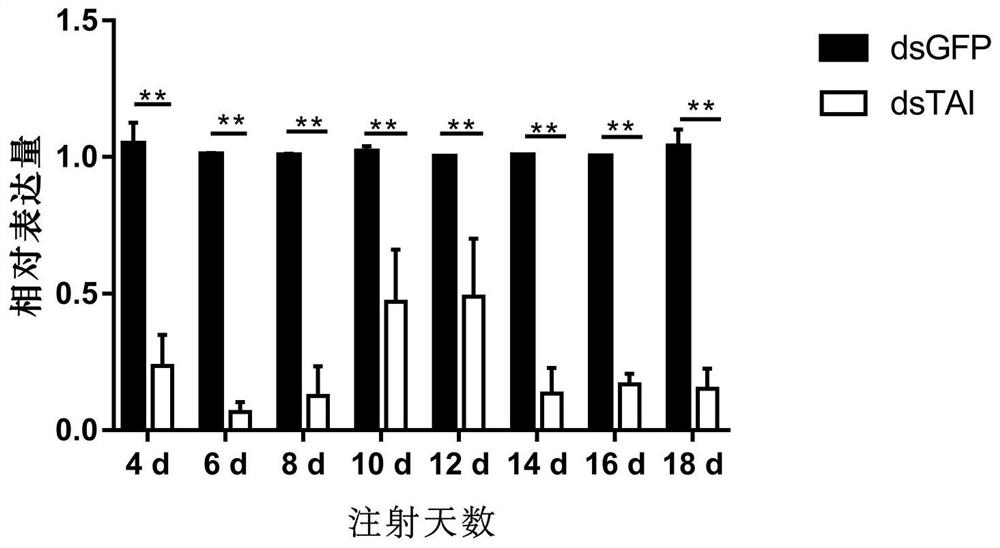 An isolated Lygus taiman gene and its encoded protein