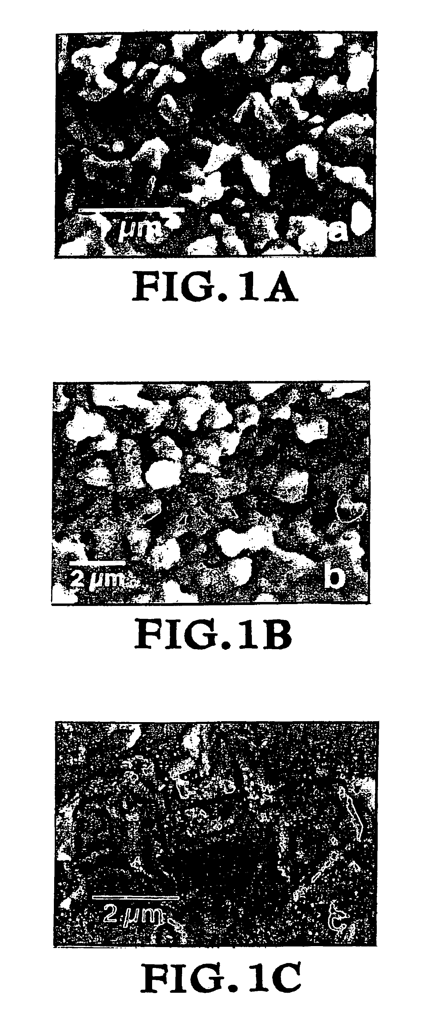 Vapor-deposited porous films for energy conversion