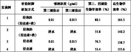 Abalone mushroom cultivation method