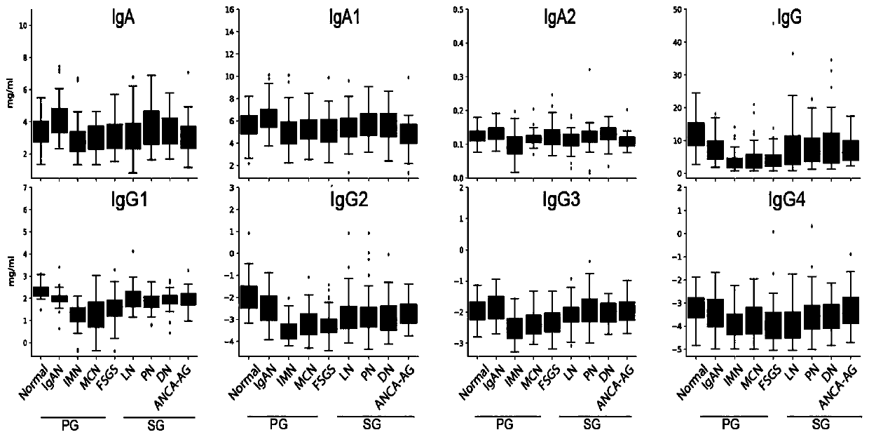 Glomerular disease classification and typing model based on immunoglobulin quantitative detection and application thereof