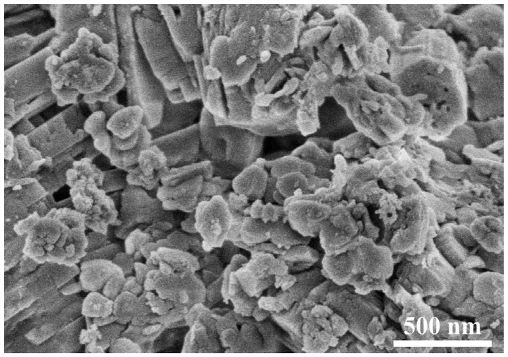 Preparation method of bacterial cellulose LDH composite adsorption material