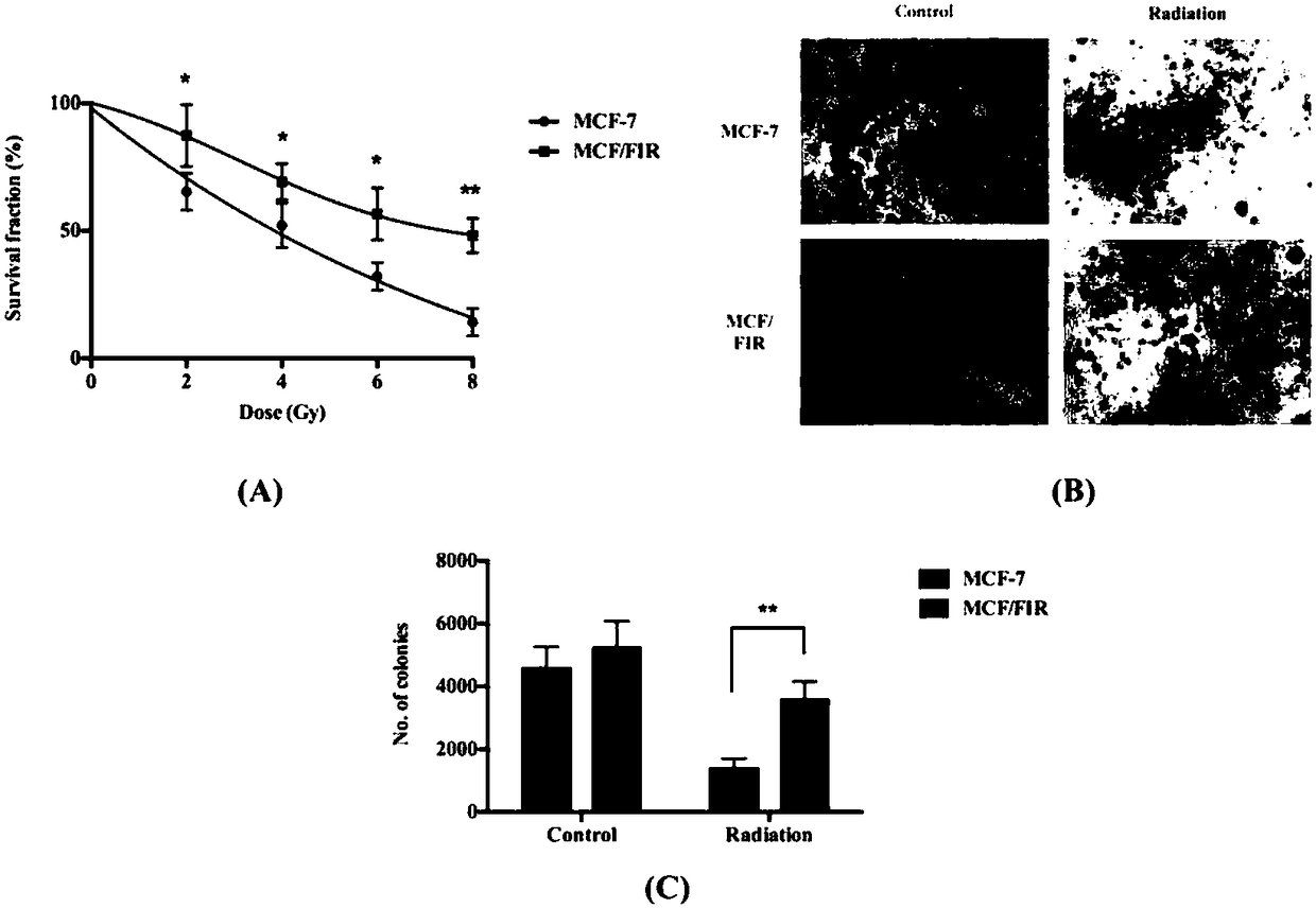 Application of wogonin in preparation of radiation sensitizer