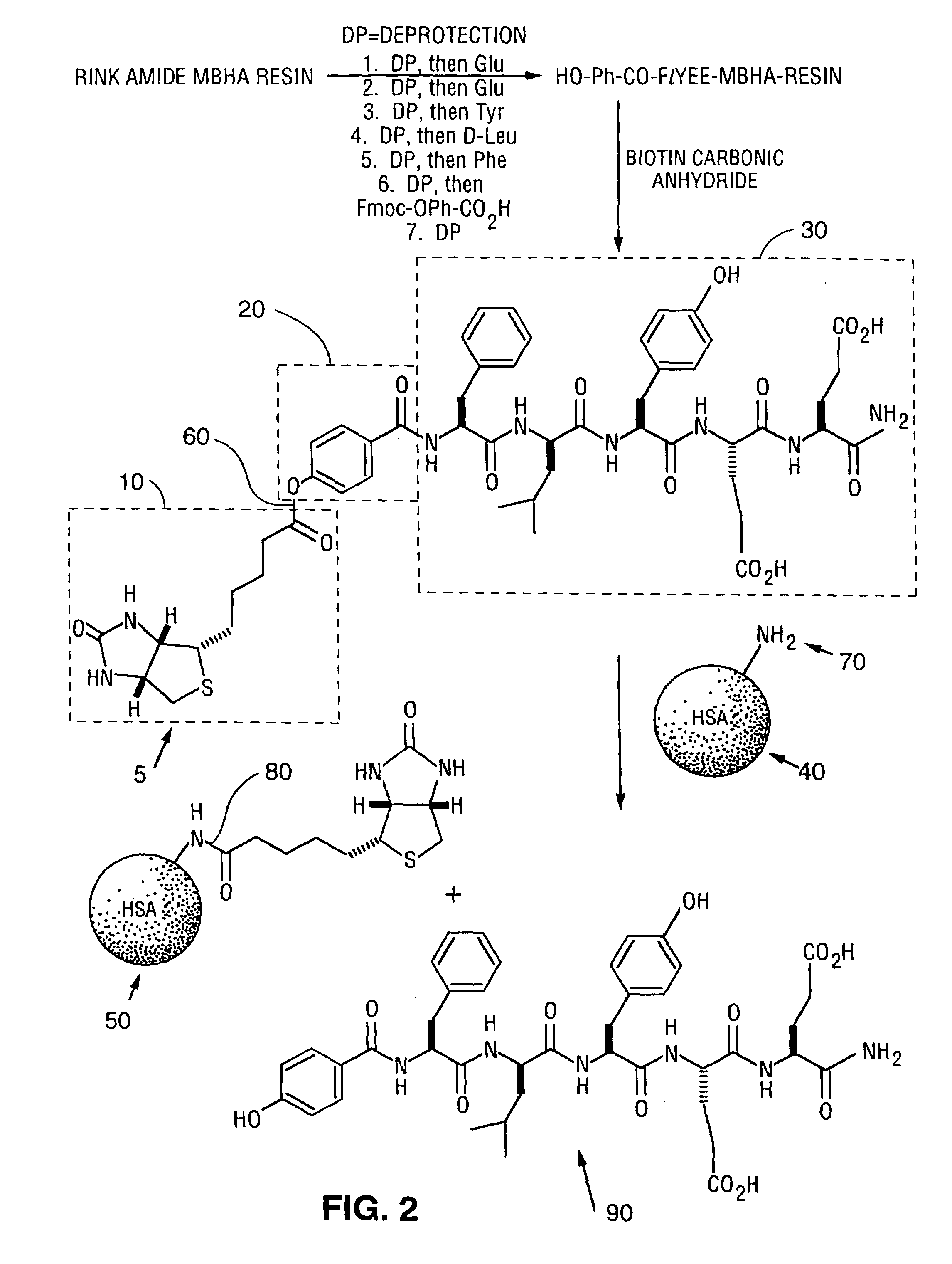 Affinity markers for human serum albumin