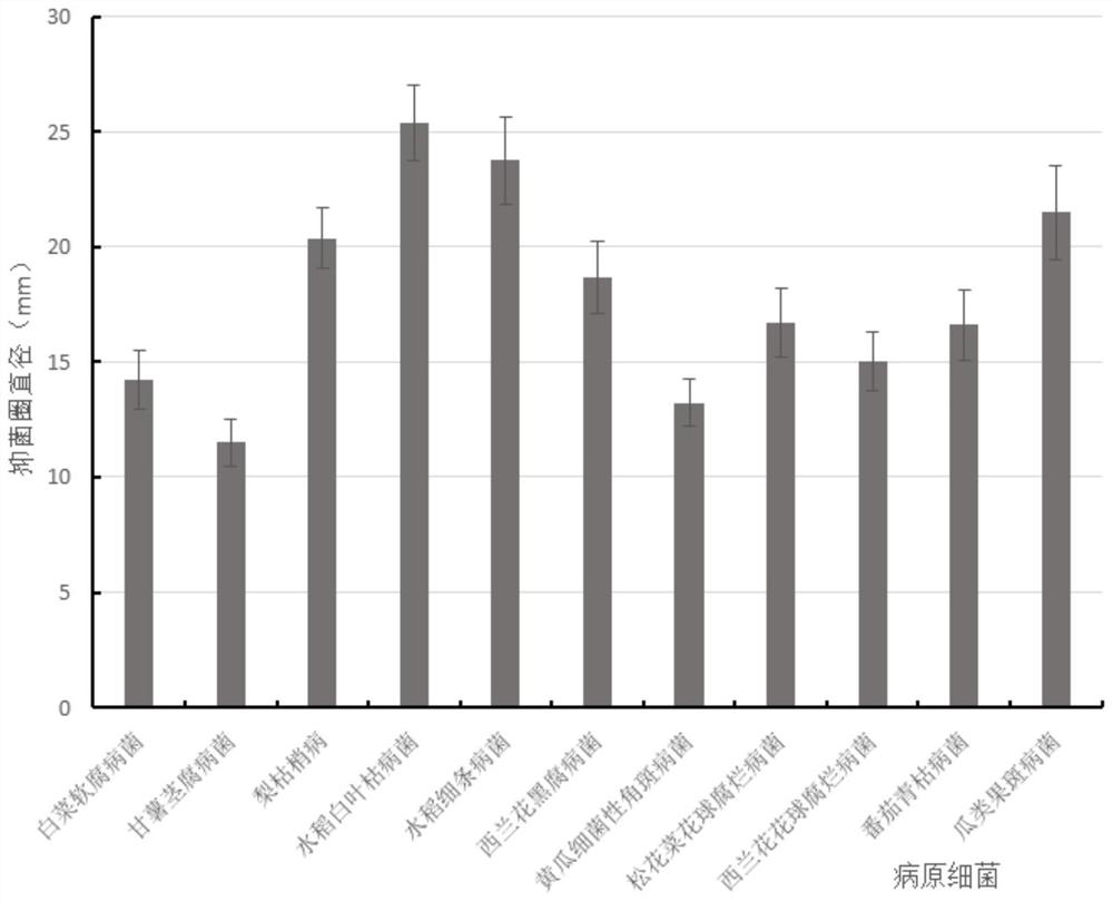 Biocontrol plant endophytic bacterium ZN-S2 and application thereof