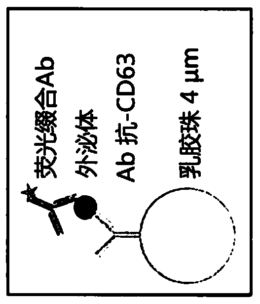 Medical uses of exosomes