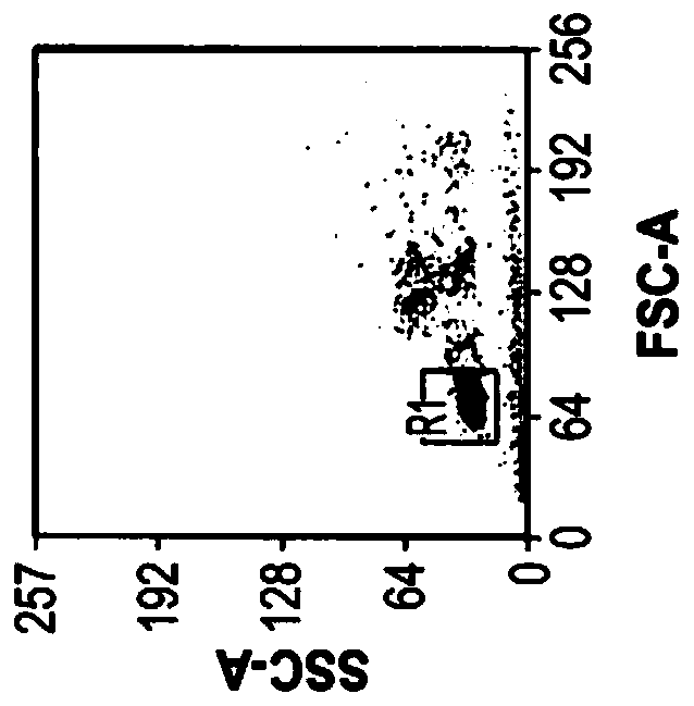 Medical uses of exosomes