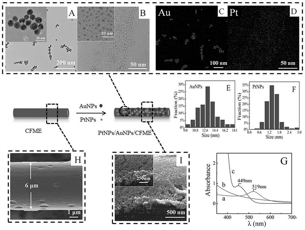 Direct electrochemical method for detecting aesculin and/or aesculetin