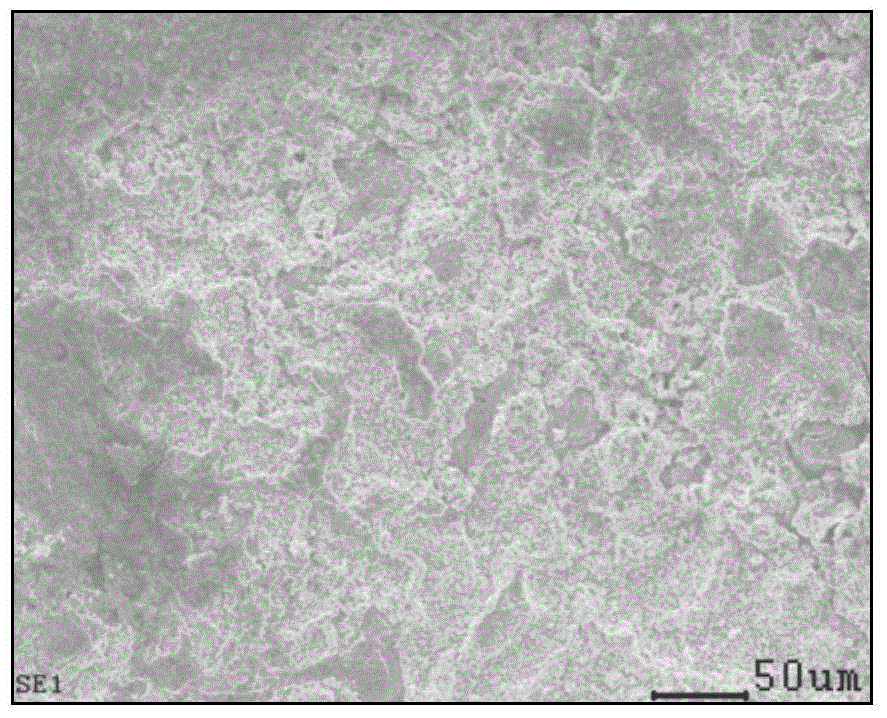 Reversed-phase microemulsion for removing harmful chloride ions from bronze ware